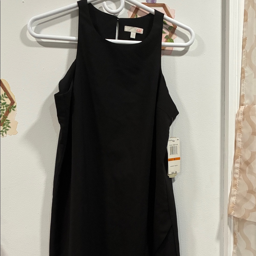 Elegant Black Sleeveless Dress